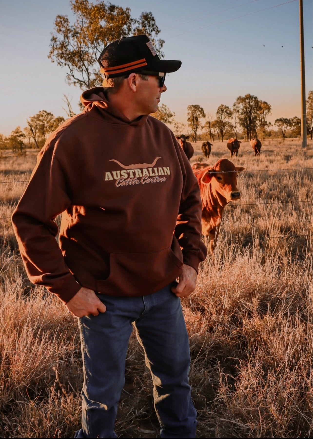 Longhorn Hoodie in Chocolate