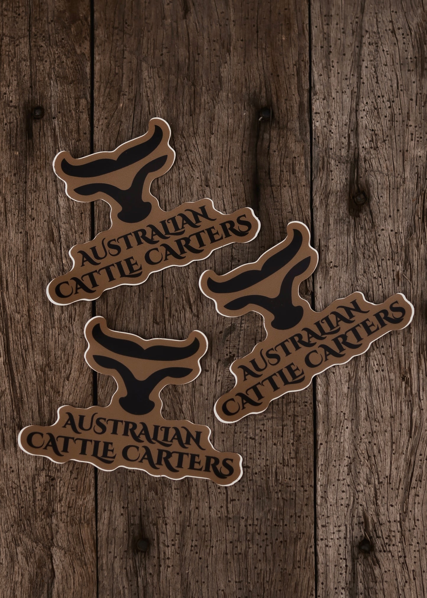 bull_head_vinyl_bumper_sticker_australian_cattle_carters