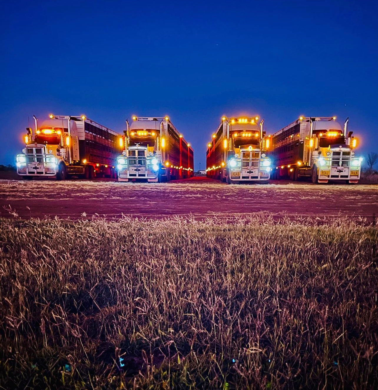 australian_cattle_carters_shop_kenworth_road_train_merchandise_country_trucker_caps_ctc_livestock_transport_outback_australia